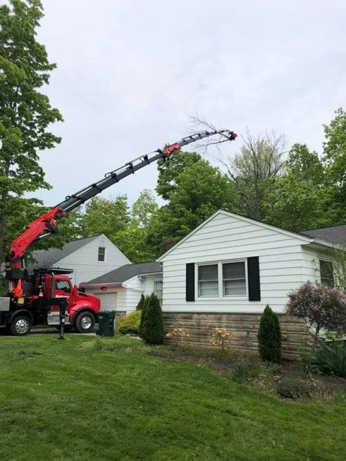 White House With Tree Cutter Truck | Chardon, OH | Montgomery Tree & Stump Removal