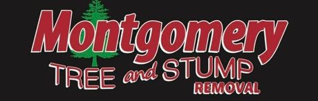 Tree Service | Chardon, OH | Montgomery Tree & Stump Removal