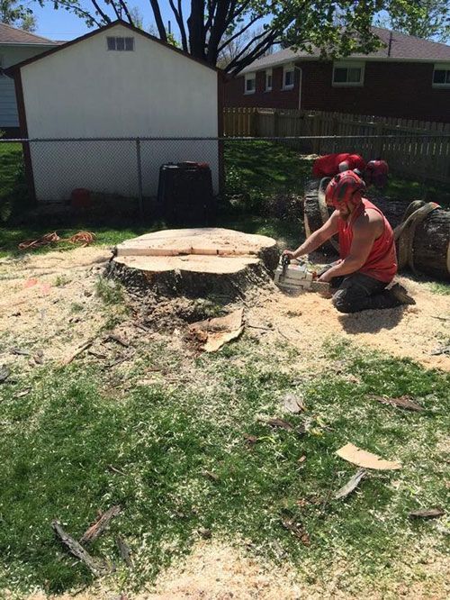 White Truck With Trees Load | Chardon, OH | Montgomery Tree & Stump Removal