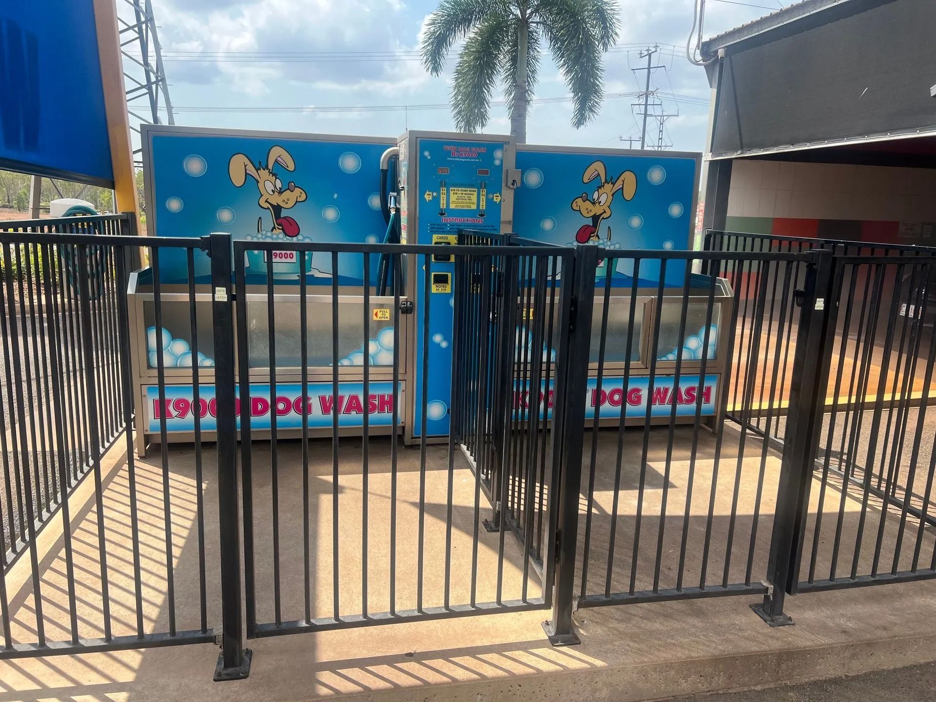 Two blue dog wash machines behind a black metal fence, under a palm tree.