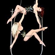 Three aerialists in black leotards perform on silver hoops suspended against a black background.