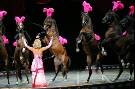 A blonde woman in pink gestures to rearing horses adorned with pink plumes on stage.