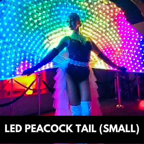 Woman in show costume, posed in front of a colorful, LED peacock tail display.