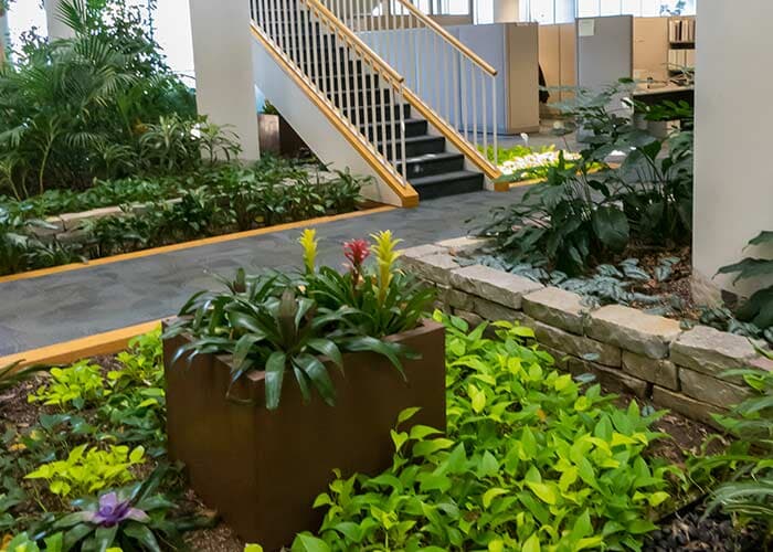 Interior Plants Designing — Outside Office Plants in Chicagoland, IL