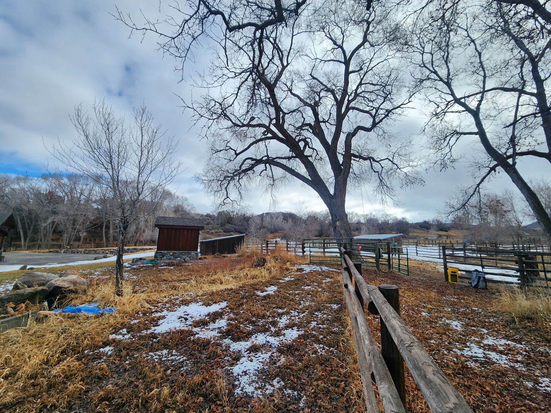 A rural scene with a fence, trees, and a small building under a cloudy sky. Some snow on the ground.