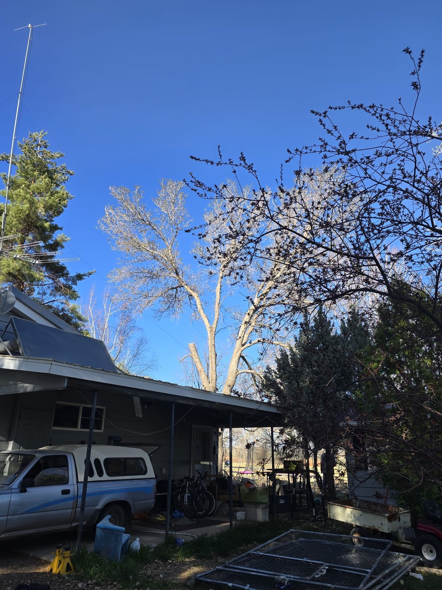 A light blue pickup truck is parked next to a gray house, under a big tree with a clear blue sky in the background.