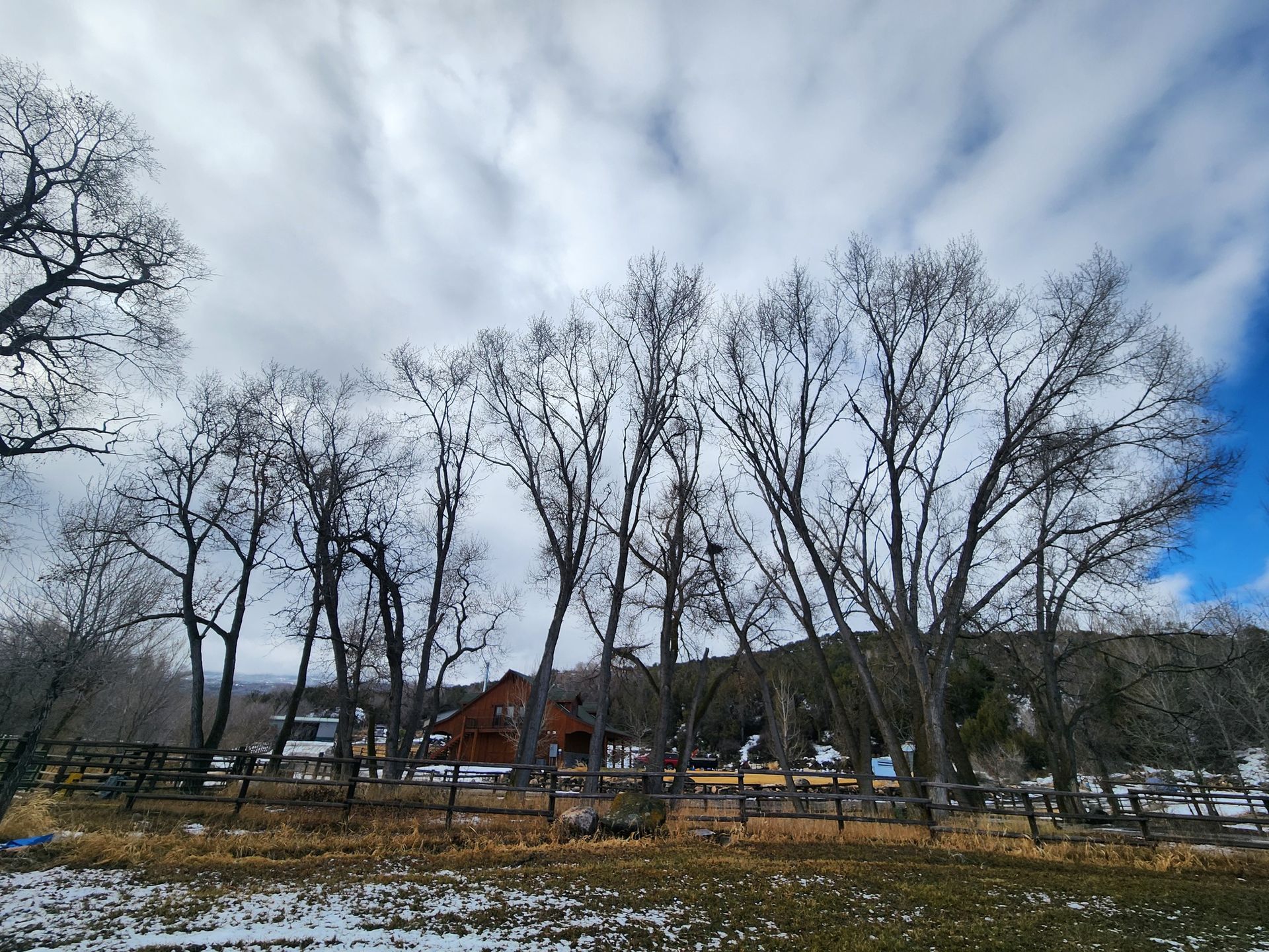 Bare trees line a field with a fence, a cabin in the distance, and a cloudy blue sky.