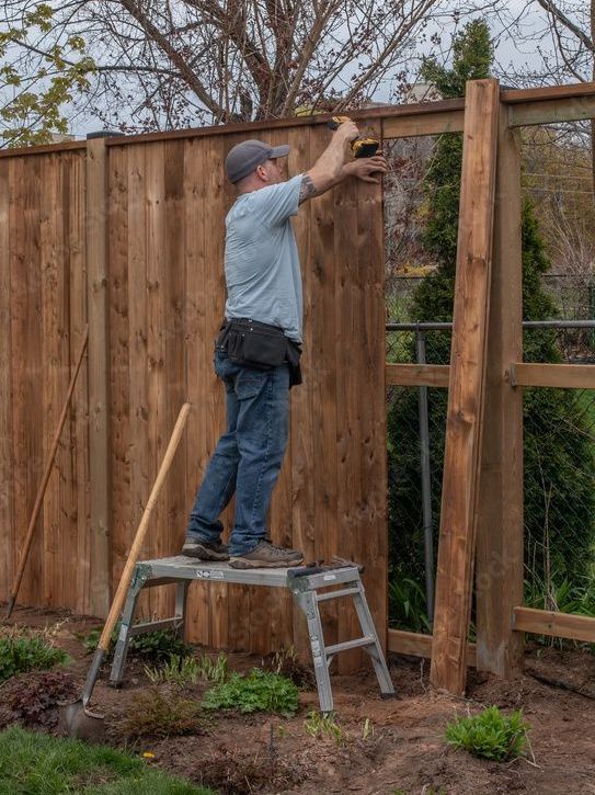 Man installing a wooden fence