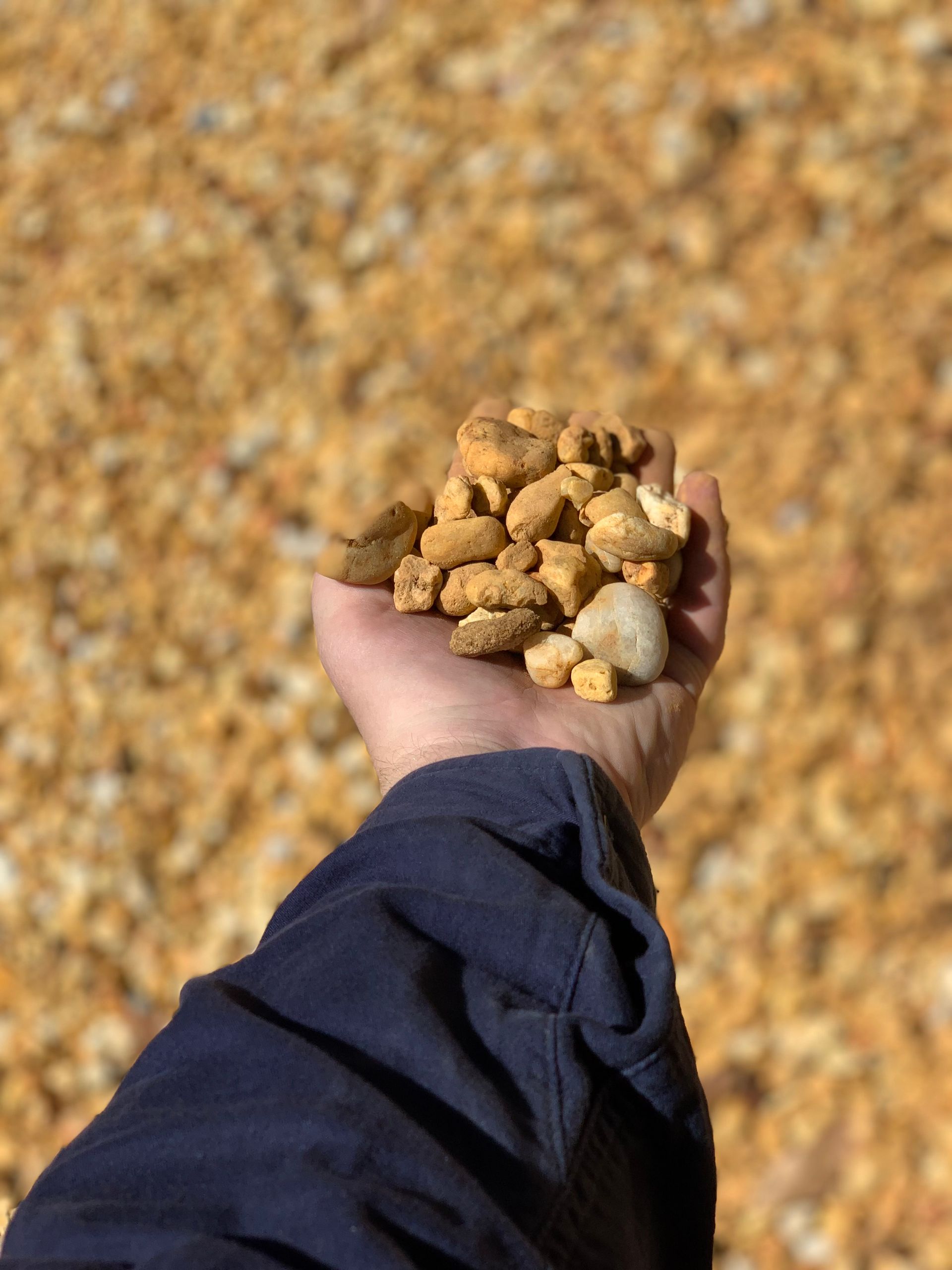 A Person Is Holding A Handful Of White Pebbles — Serious About Landscape Supplies In West Gosford, NSW