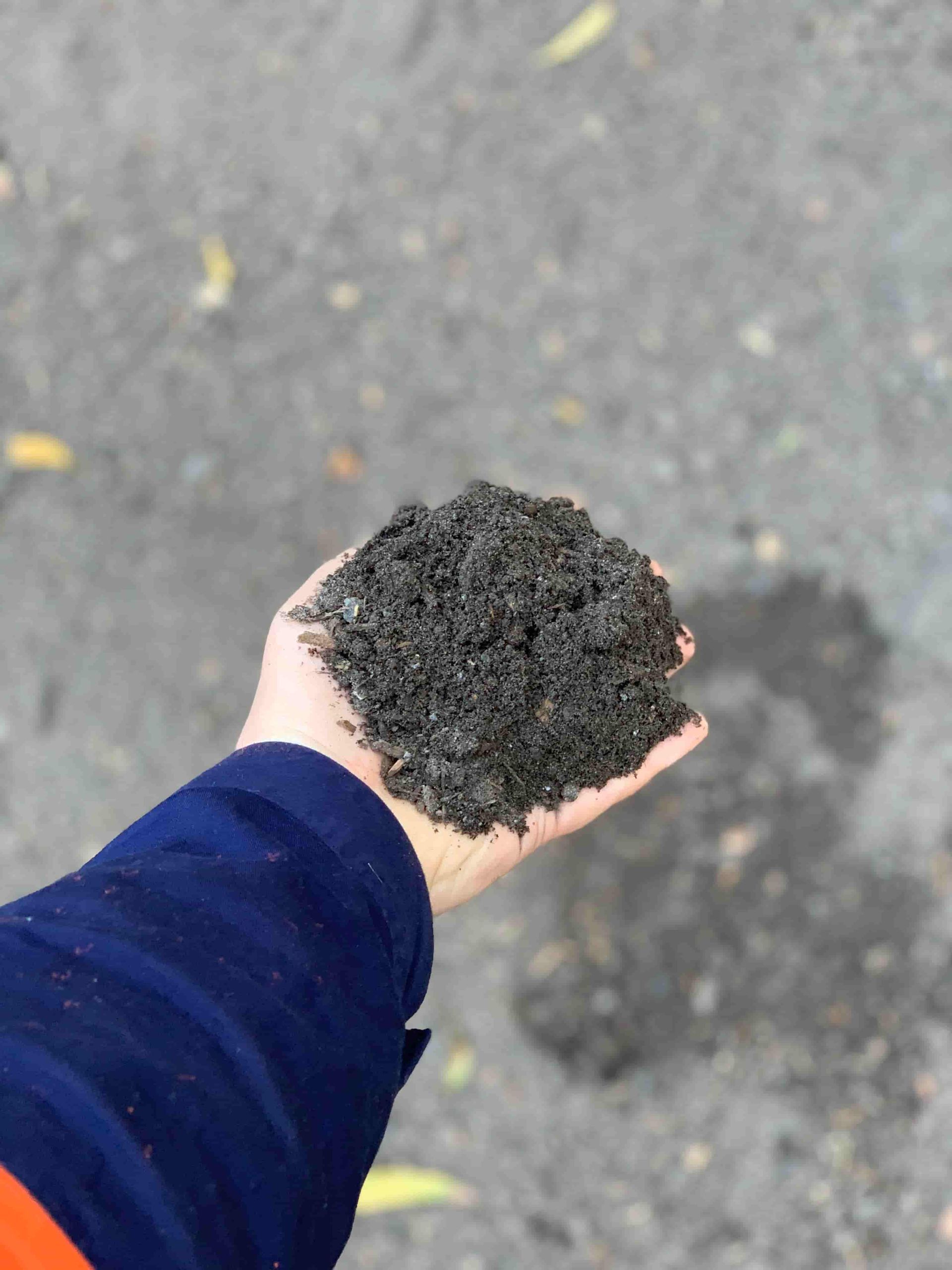 A Person Is Holding A Pile Of Dirt In Their Hand — Serious About Landscape Supplies In West Gosford, NSW