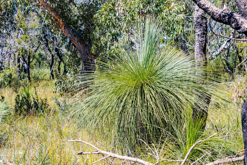 There Is A Small Island In The Middle Of The Ocean — Serious About Landscape Supplies In Narara, NSW
