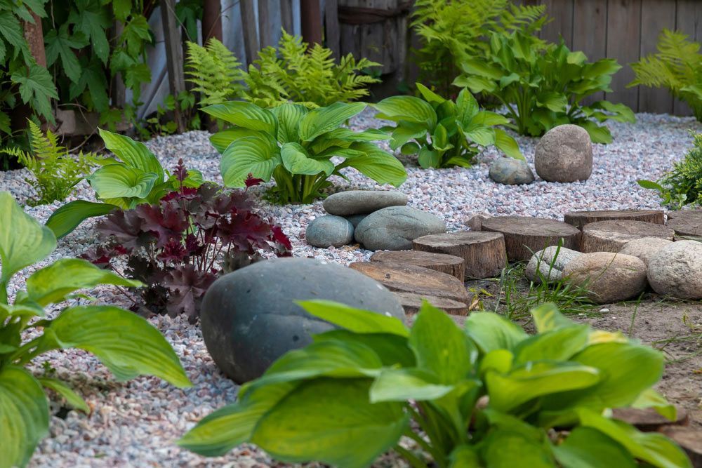 A Garden Filled With Rocks , Plants And Ferns — Serious About Landscape Supplies In West Gosford, NSW