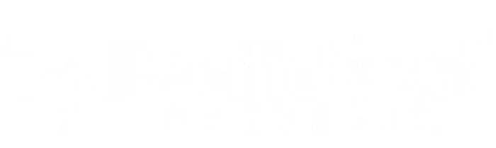 A white background with a few lines on it