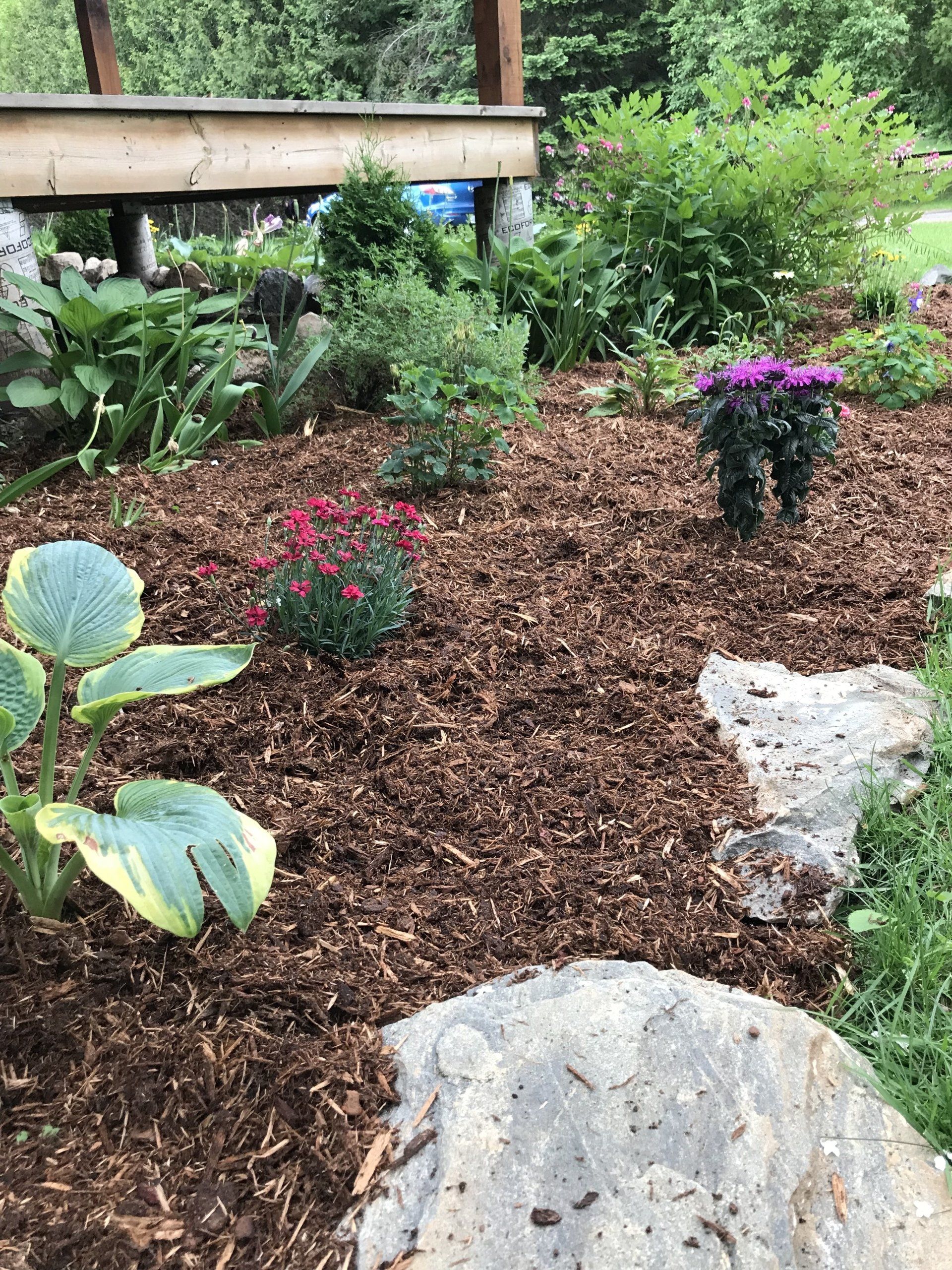 outdoor decorative rock and flower garden