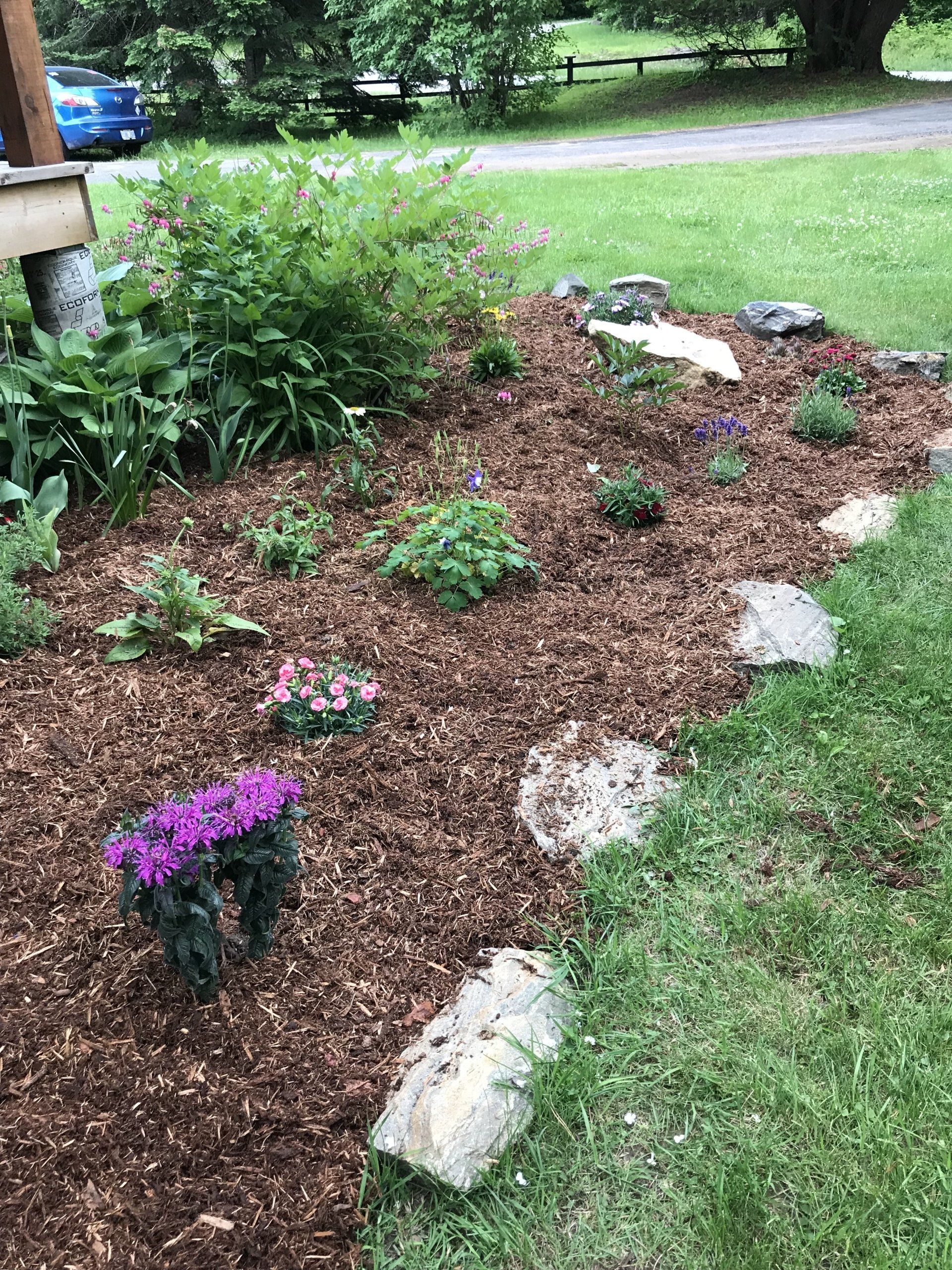 outdoor rock and flower garden