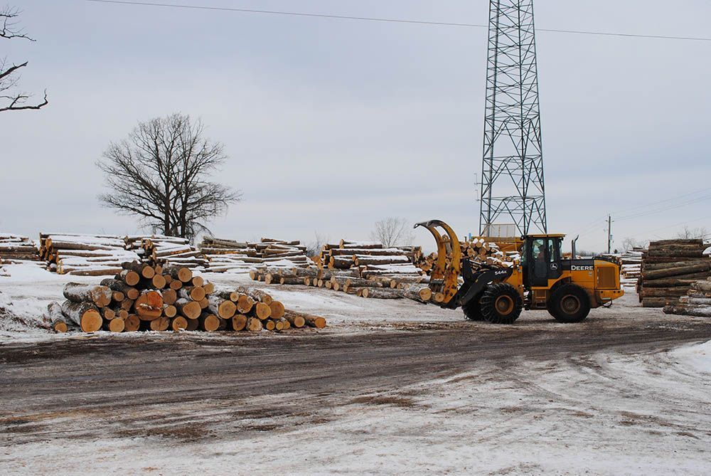 stacks of lumber covered in snow