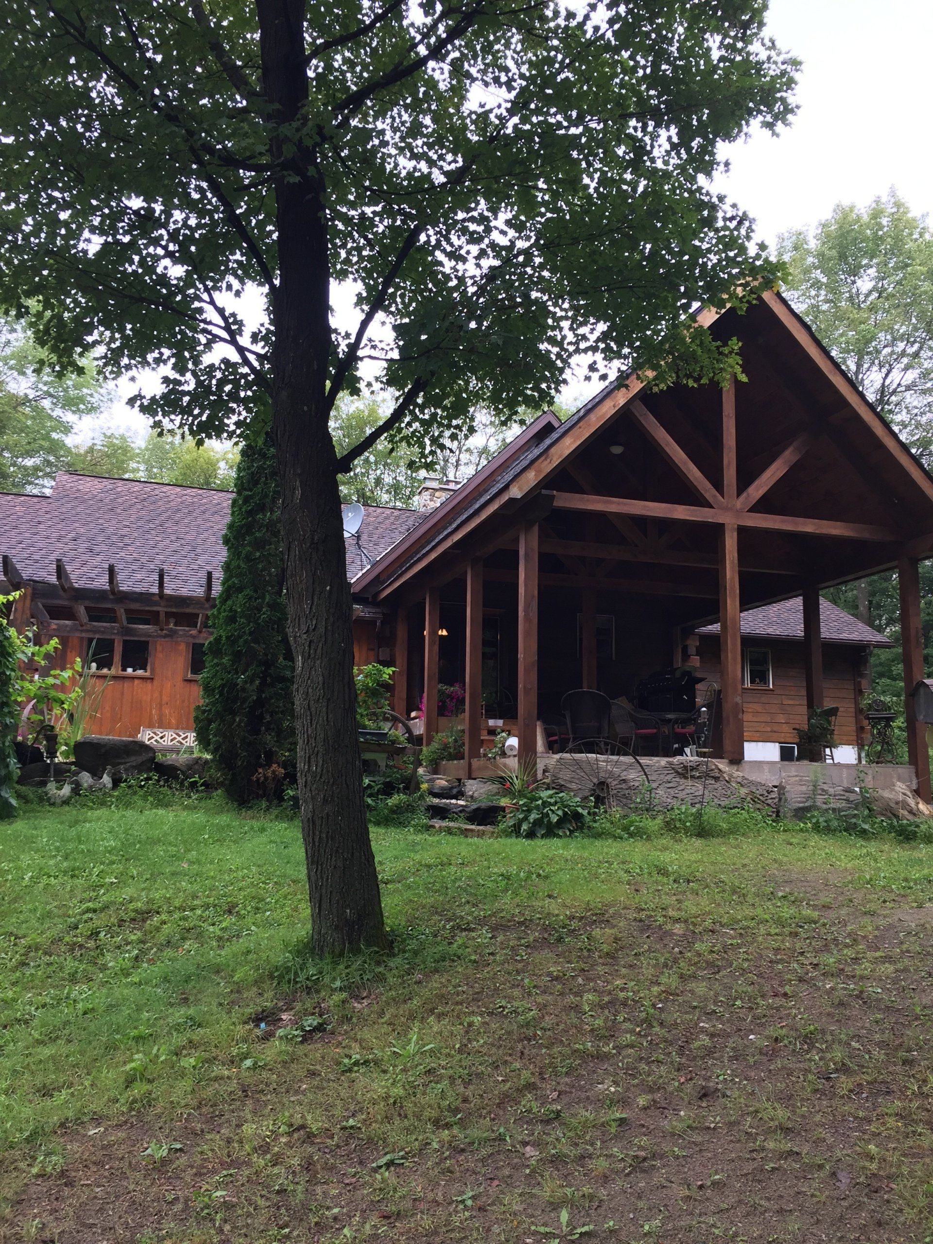 wooden cottage and tree