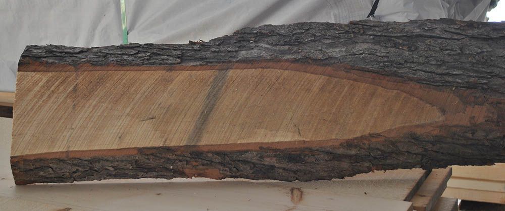 close up of dark wood grain