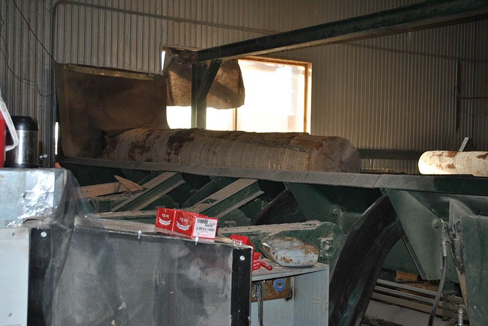 large wooden log in warehouse being prepared for cutting