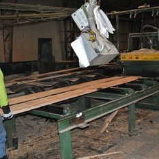 wood cutting machine