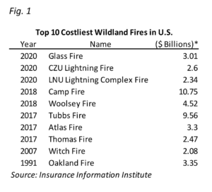 a table showing the top 10 costliest wildland fires in the u.s.