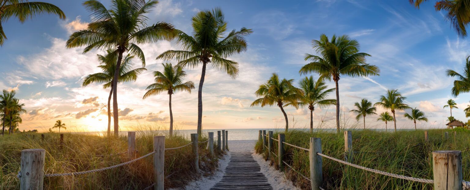 A path leading to the beach with palm trees and a fence.