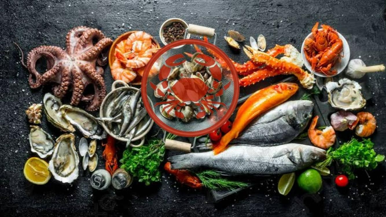 There Are Many Different Types of Seafood on the Table — Noosa Junction Seafood Market in Noosa Heads, QLD