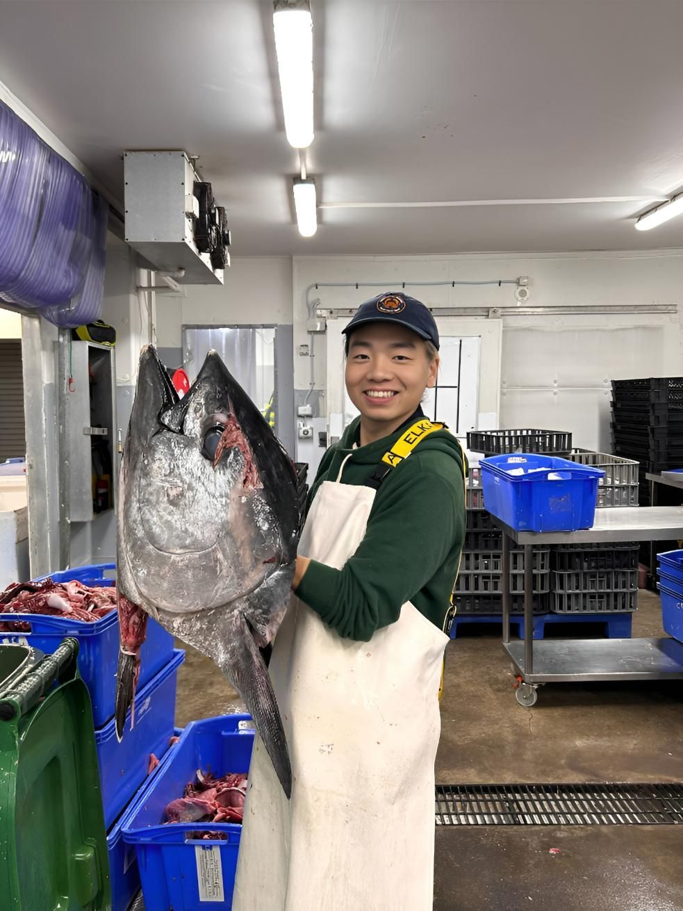 A Man is Holding a Large Fish in a Kitchen — Noosa Junction Seafood Market in Noosa Heads, QLD