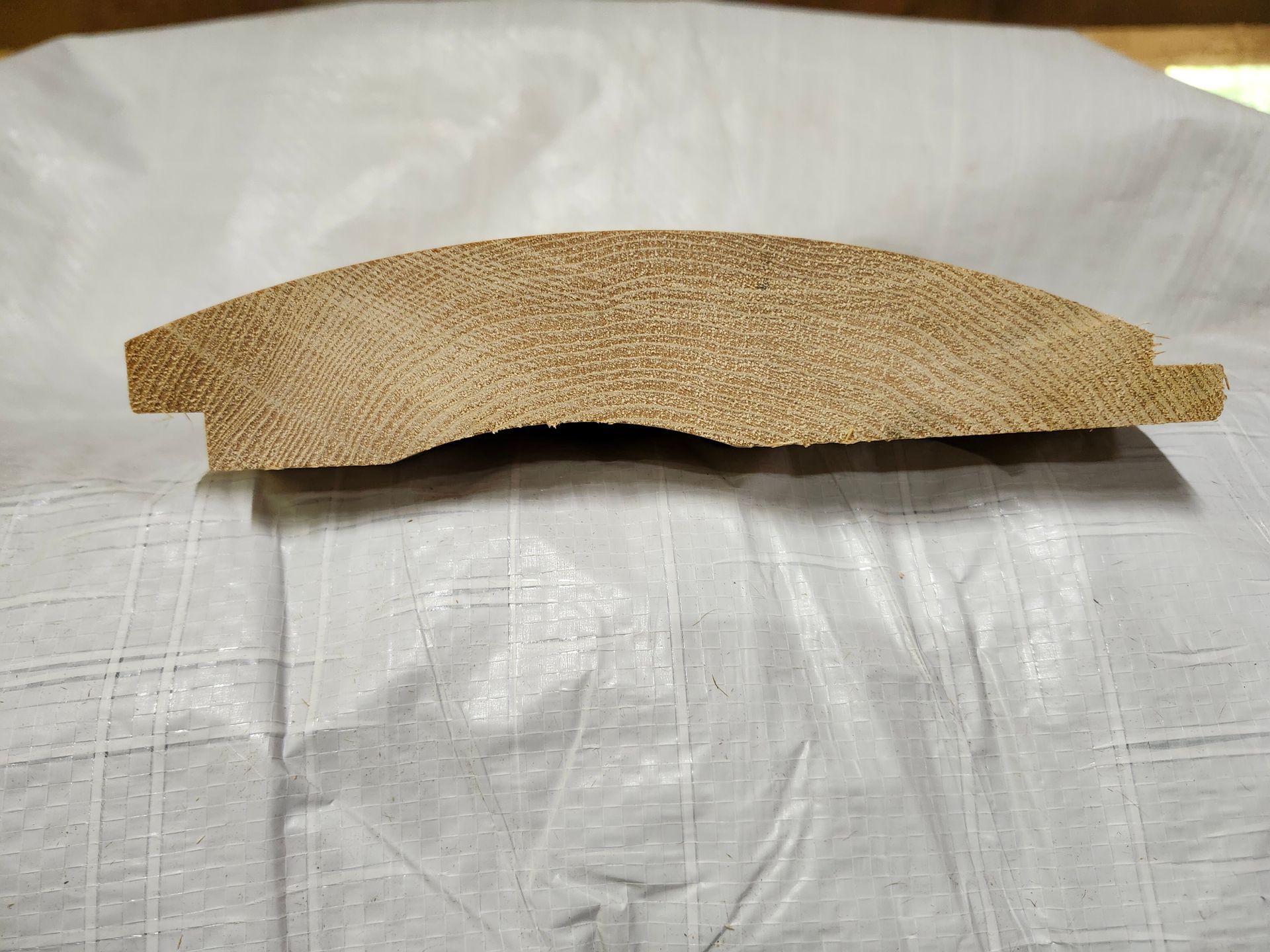 Cross-section of curved wooden molding, brown, on a white textured surface.