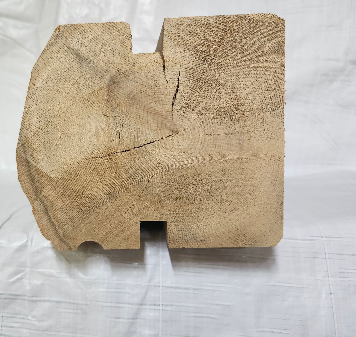 Wooden beam with cut-out sections. The wood grain is visible and the beam is on a white surface.