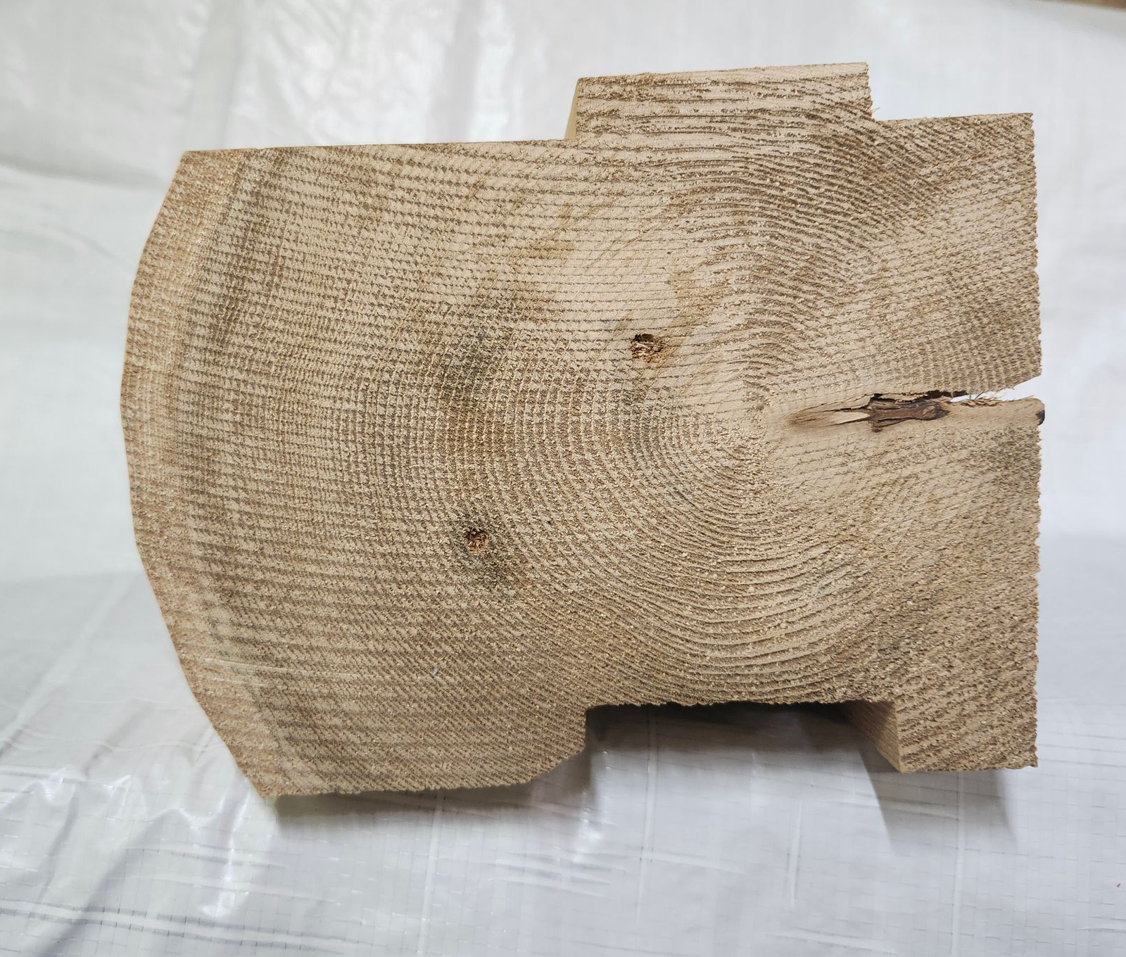 Cross-section of a light-brown wooden beam with visible grain. Features a rounded end and rectangular notch.
