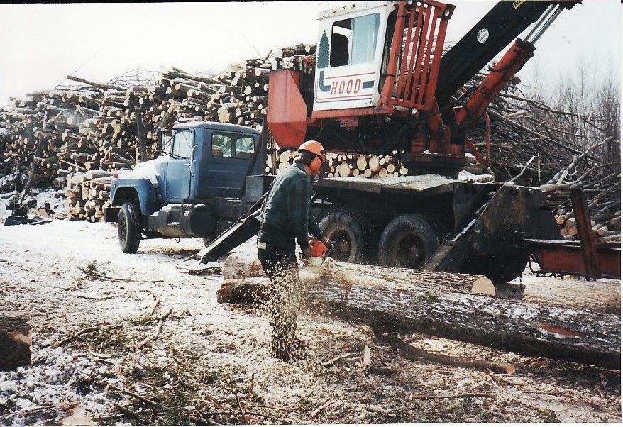 Lumberjack using a chainsaw to cut a log near a log truck and pile of logs.
