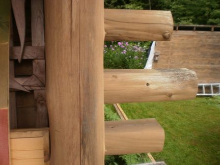 Log cabin wall detail: stacked logs with visible joints; green grass and flowers in background.