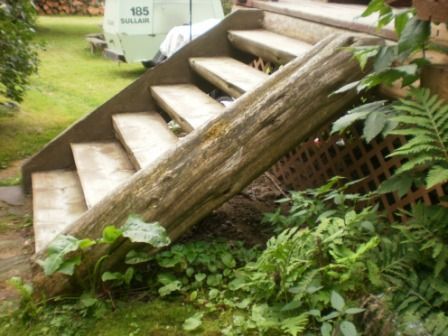 Wooden steps with a log support, overgrown with greenery.