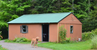 Before: a shed before new log siding