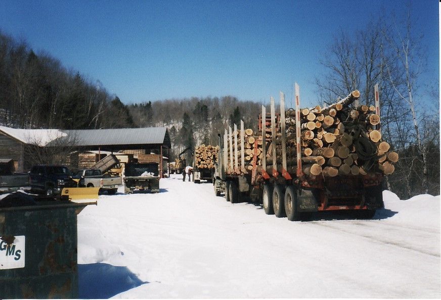 Log trucks loaded with timber, parked in snow, near a building, on a bright, sunny day.