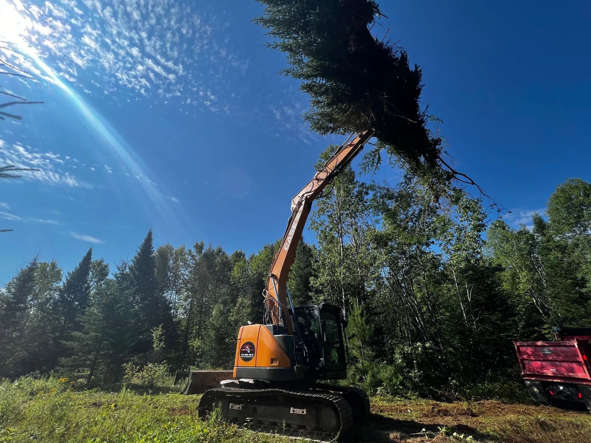 Une moissonneuse-batteuse orange sur chenilles soulève un grand conifère sur fond de ciel bleu éclatant.