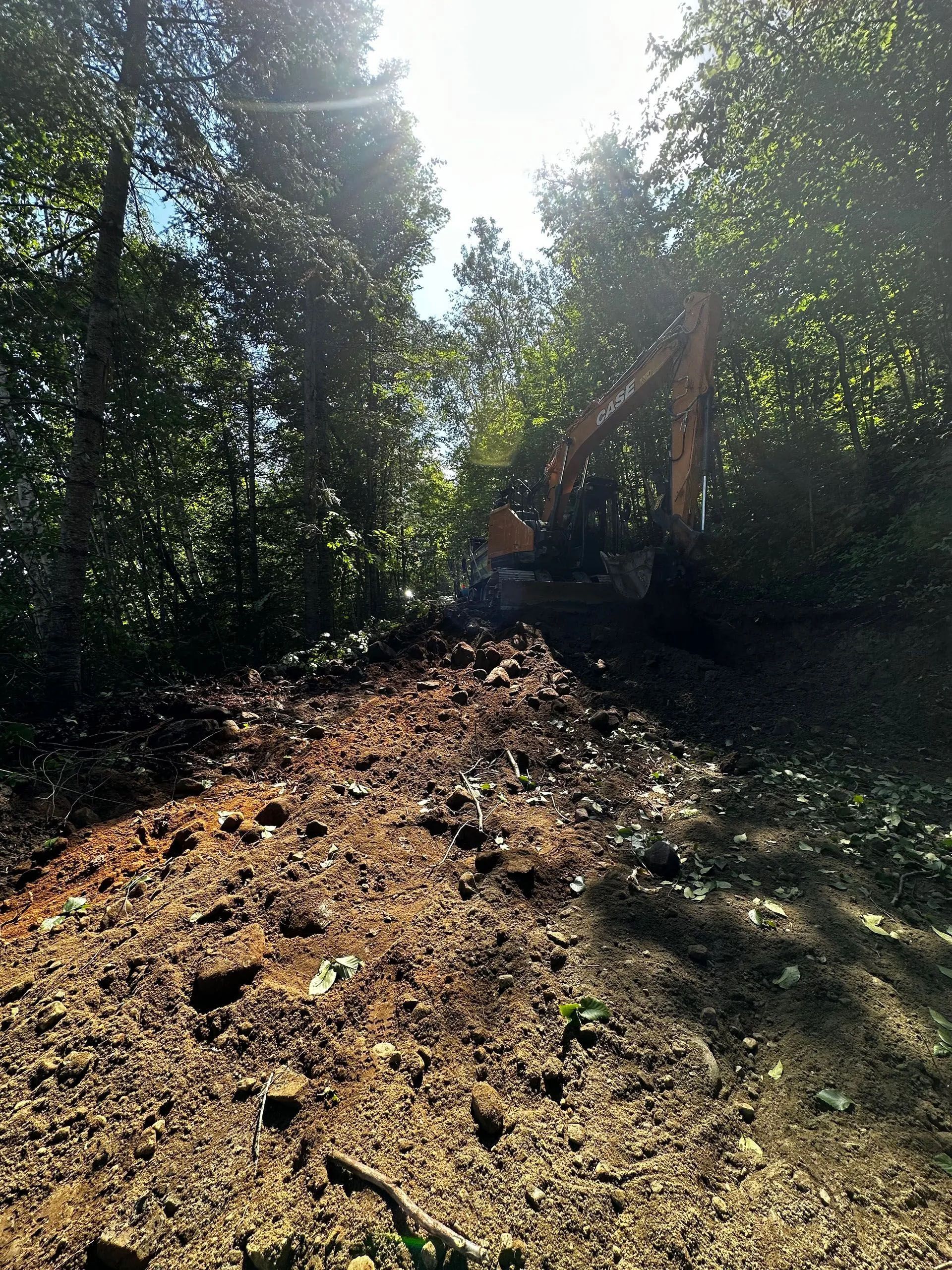 Une pelleteuse orange travaille dans une zone boisée, dégageant un passage à travers les arbres et la terre par une journée ensoleillée.