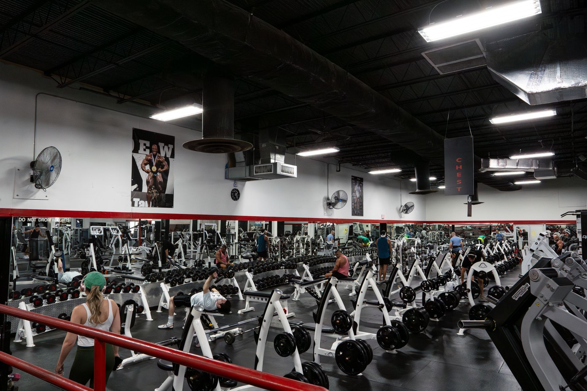 Gym Memberships at Apex Gym in Oakland Park | Base, VIP & Day Pass Options

