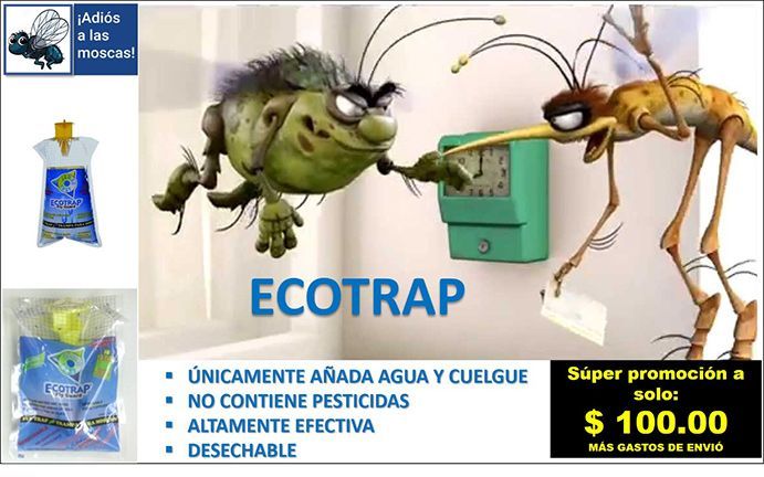 ECOTRAP: trampa para moscas a base de agua