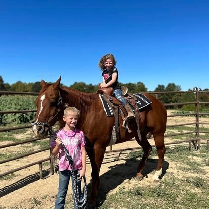 Two young girls are standing next to a brown horse.