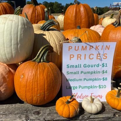 A bunch of pumpkins with a sign that says pumpkin prices