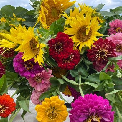 A bunch of colorful flowers are sitting on a table.