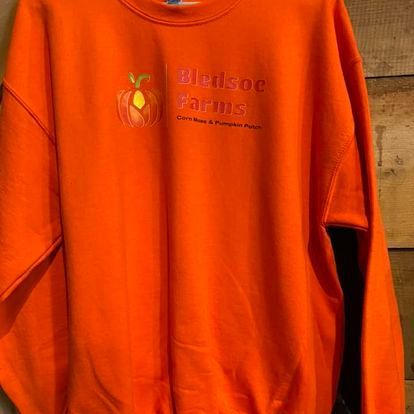 An orange sweatshirt with a pumpkin on it is hanging on a wooden wall.