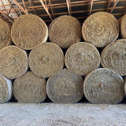 A bunch of hay bales stacked on top of each other in a barn.