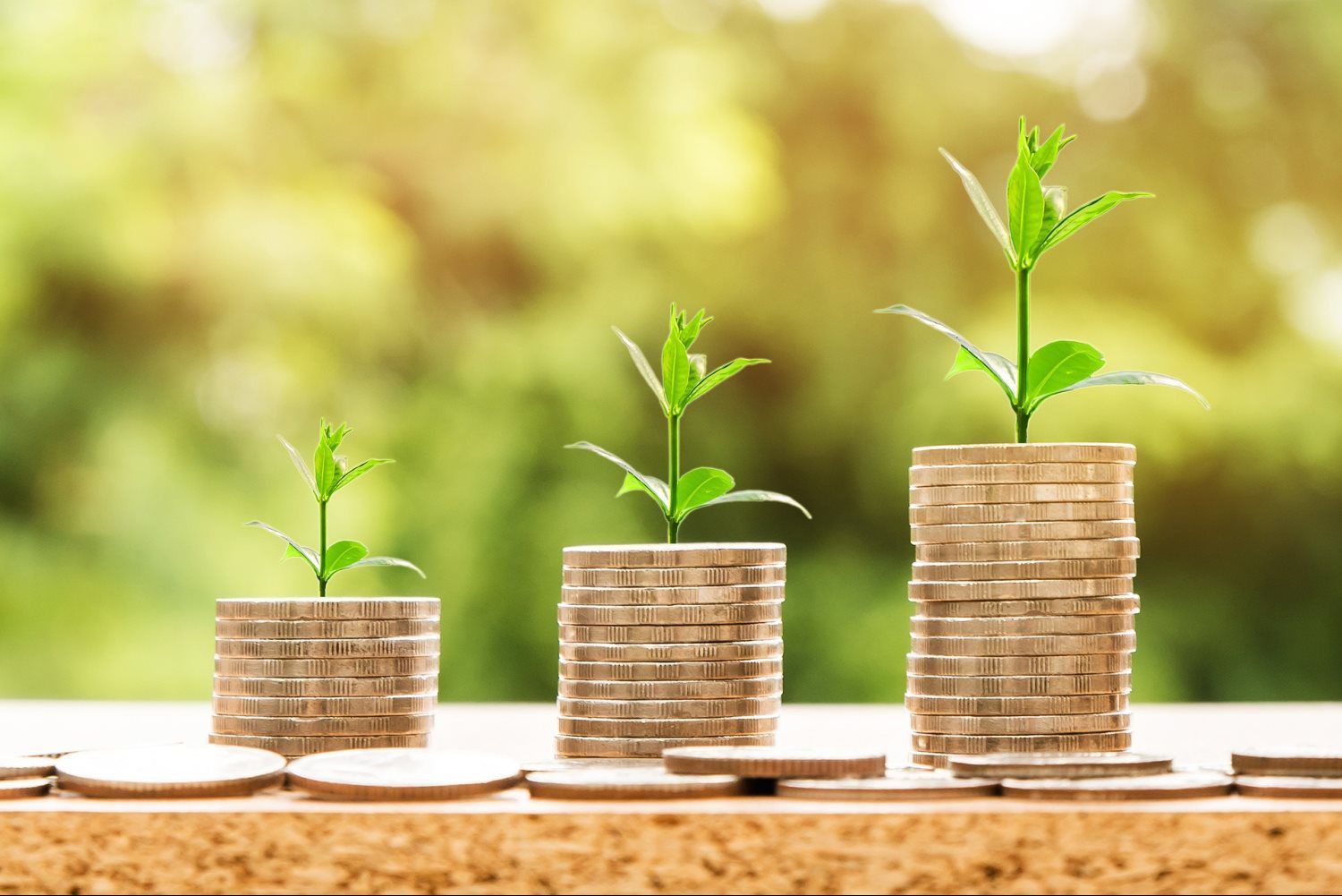 three stacks of coins with plants growing out of them .