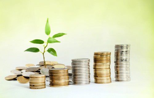 A plant is growing out of a pile of coins.