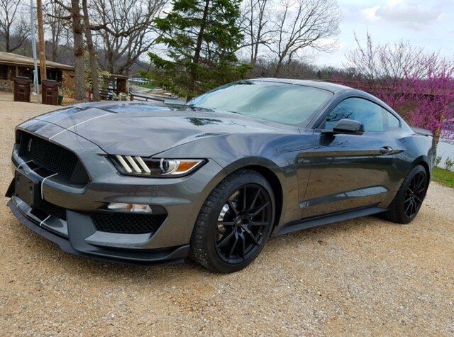 A dark gray Ford Mustang Shelby GT350 parked on a gravel lot with trees and a building in the background.