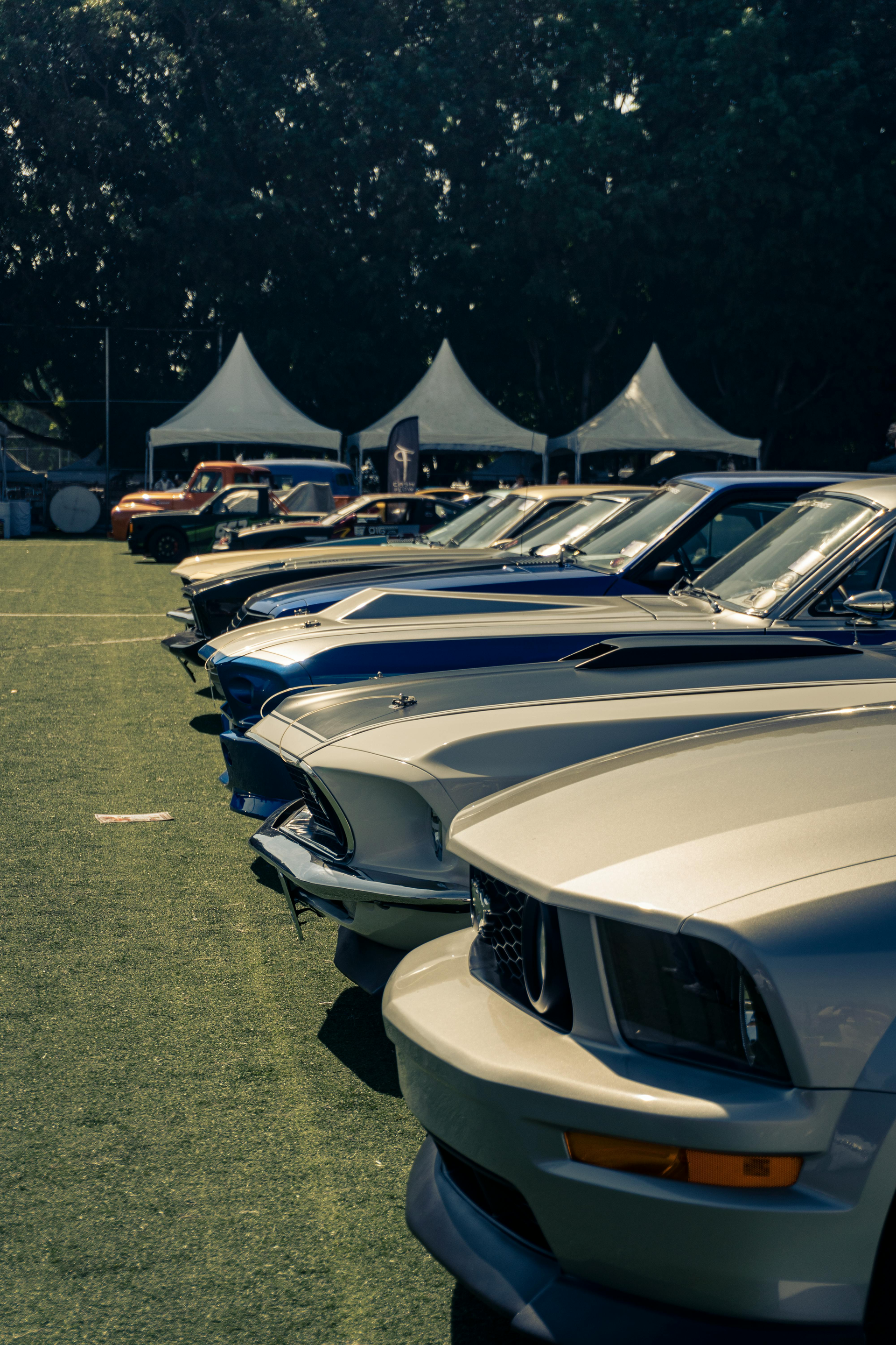 A row of classic silver and blue Ford Mustang muscle cars parked in a grass field under white tents.