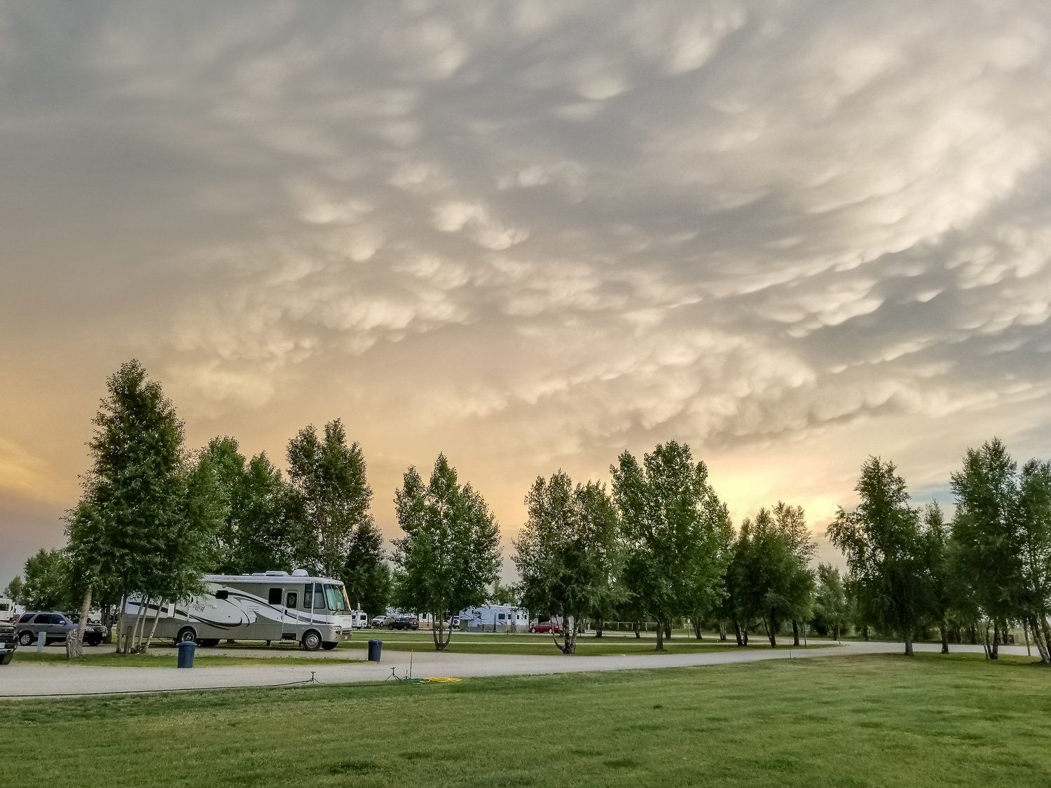 RV campground with rows of trees under a cloudy sky during sunset.